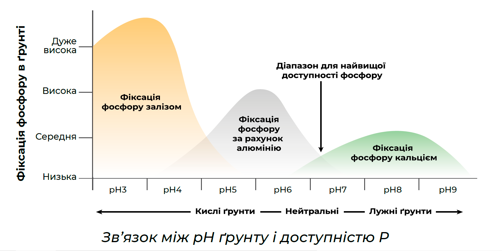 Зв'язок між рН і ґрунтом Зв'язок між рН і ґрунтом