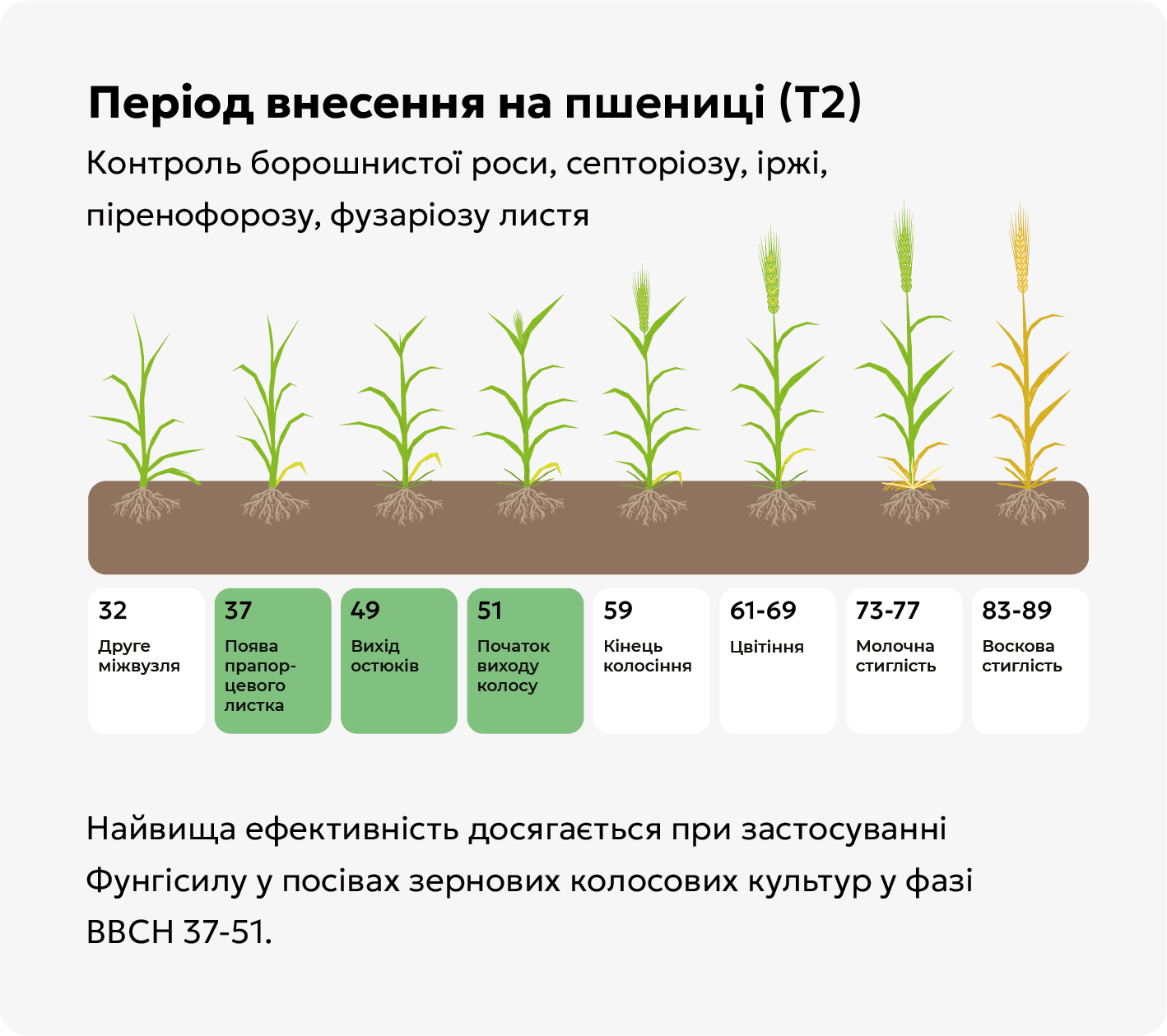 Період внесення на пшениці Т2 Період внесення на пшениці Т2